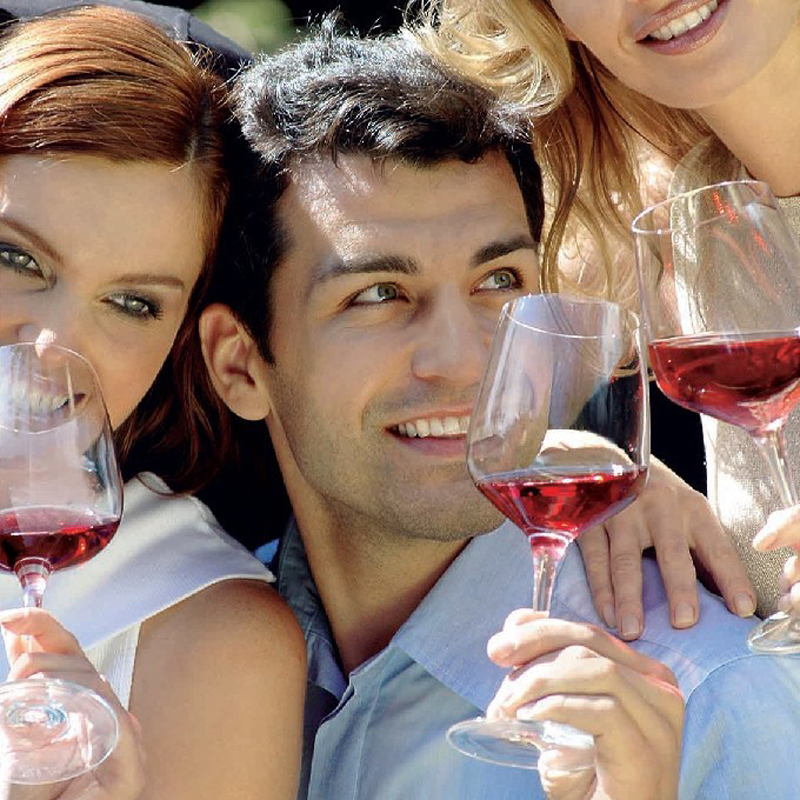 Rona捷克水晶紅酒杯